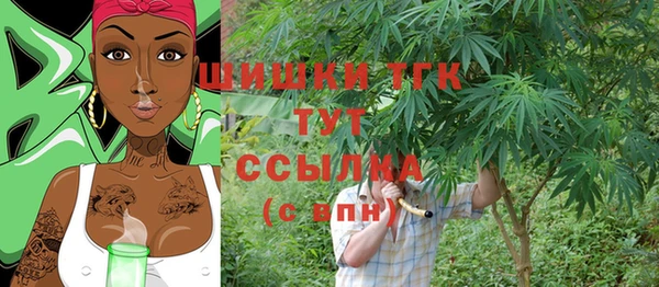 гашик Арсеньев