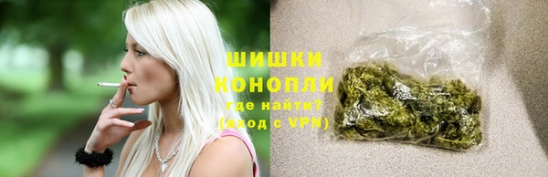 гашик Арсеньев