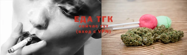 гашик Арсеньев