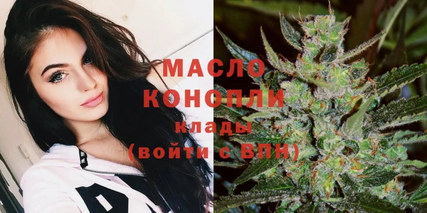 индика Армянск