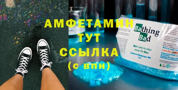 индика Армянск