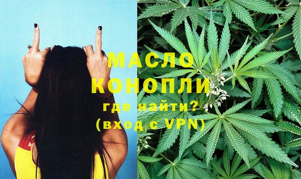 гашик Арсеньев