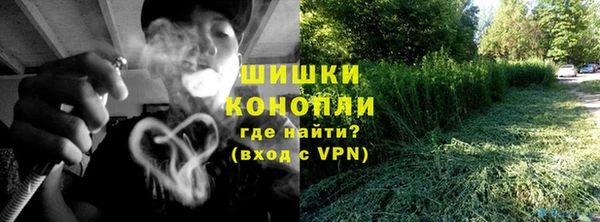гашик Арсеньев
